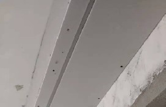 虹井路泥木验收