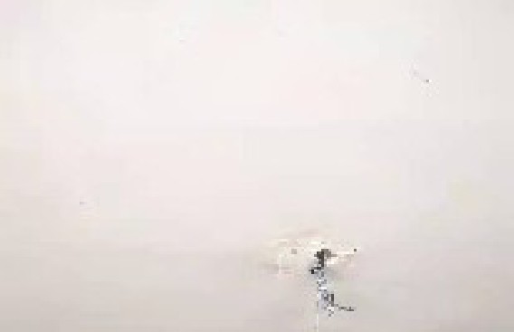 虹桥路泥木验收